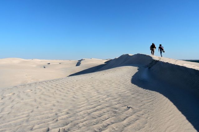 Image De Mascate aux sables du Rub al Khali