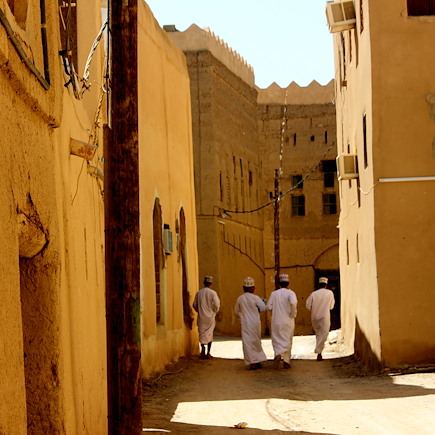 Découverte Oman Canyon et oasis