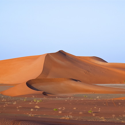 Découverte Oman Canyon et oasis