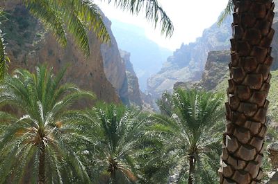 Palmeraie - Oman
