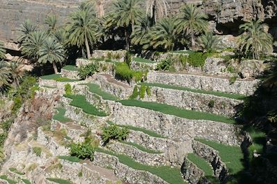 Voyage  Canyon et oasis