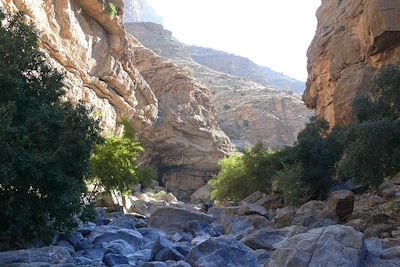 Wadi dans le massif Djebel Akhdar - Oman
