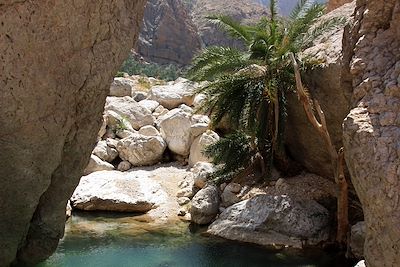 Le Wadi Tiwi - Oman