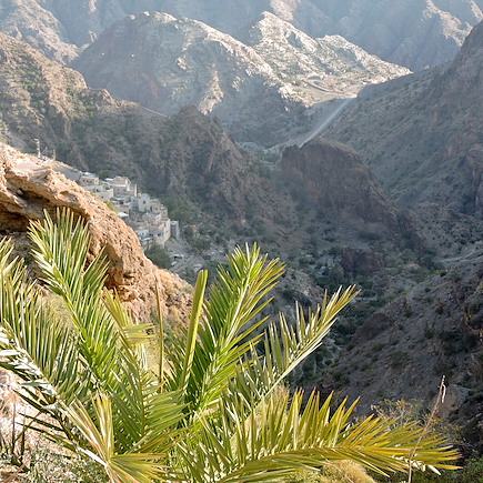 Randonnée Oman Canyon et oasis