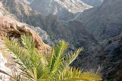 Le djebel Akhdar vers Saiq - Oman