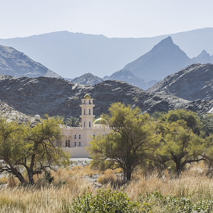 Randonnée Oman Canyon et oasis