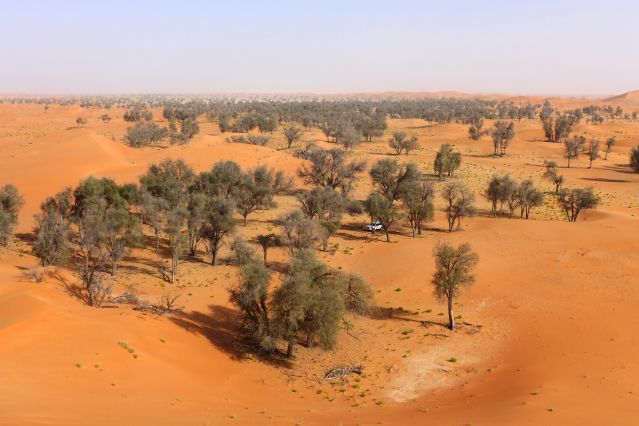 Trek - Oman, des dunes d\'or aux dunes blanches