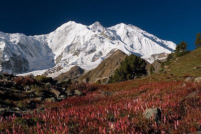 © Diamirstudio / iStock - Rakaposhi - Karakoram - Pakistan Rakaposhi - Karakoram - Pakistan