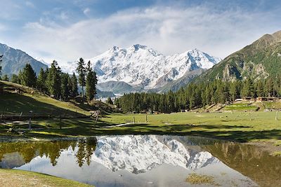 © PatrickPoendl / iStock - Fairy Meadows - Nanga Parbat - Pakistan Fairy Meadows - Nanga Parbat - Pakistan