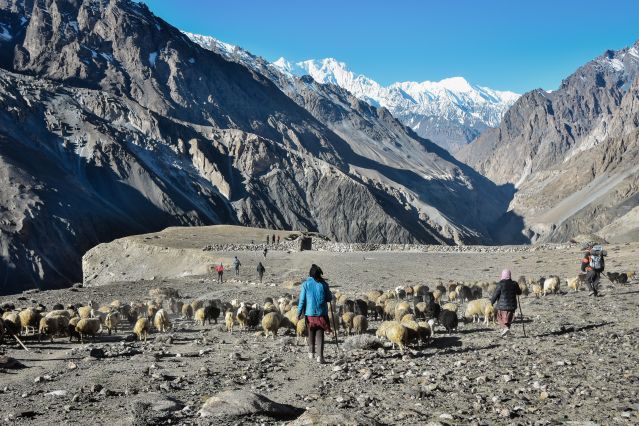 Voyage Transhumance avec les bergers de Shimshal 3