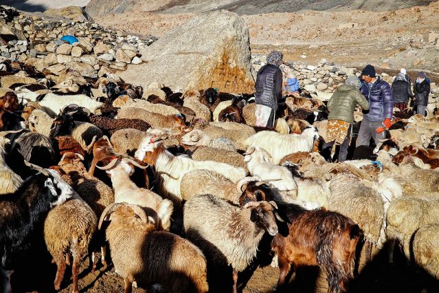 Voyage Transhumance avec les bergers de Shimshal