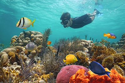 Voyage Balade panaméenne, du Pacifique aux Caraïbes 3