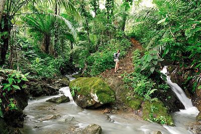 © Rafal Cichawa / Adobe Stock - Jungle sauvage du Darien - Panama Jungle sauvage du Darien - Panama