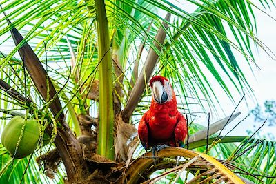 Voyage Bord de mer et îles Panama