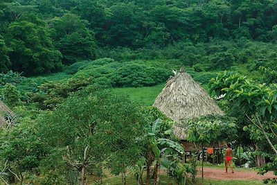 Village traditionnel - Communauté des Emberas - Parc national du Darien - Panama