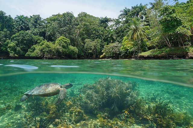 Voyage Balade panaméenne, du Pacifique aux Caraïbes