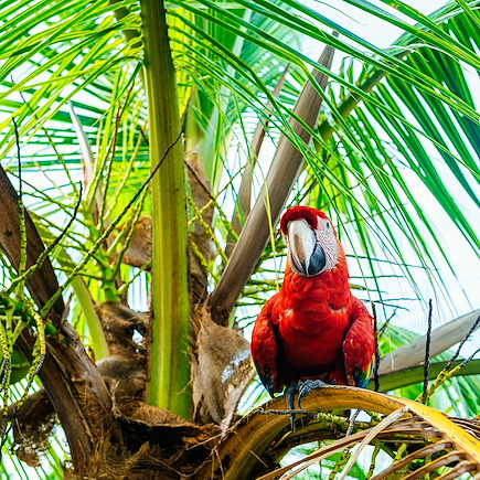 Découverte Panama