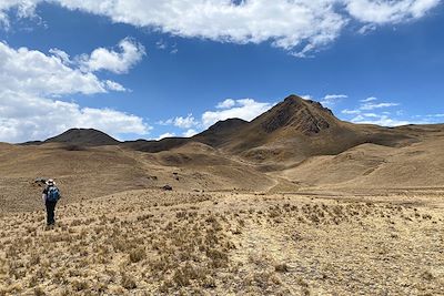 Trekking au sommet des Andes
