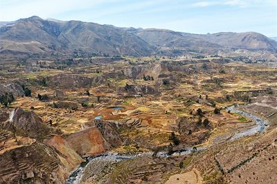 Le canyon de Colca - Province d'Arequipa - Pérou