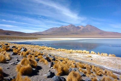 Lagune - Sud Lipez - Bolivie