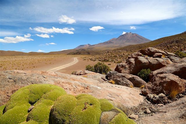 Voyage Sud Lipez, Salar d'Uyuni et Machu Picchu