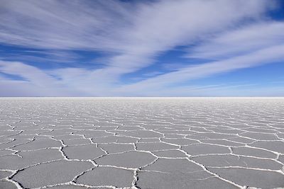 Voyage Sud Lipez, Salar d'Uyuni et Machu Picchu 1