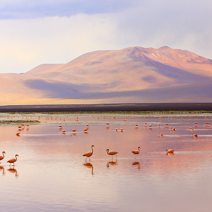 Découverte Pérou Uyuni et Sud Lipez