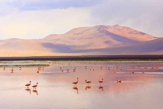Découverte Pérou Uyuni et Sud Lipez