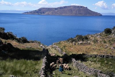L'Île Amantani depuis la Péninsule de Capachica sur le Lac Titicaca - Pérou