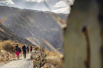 Randonnée - Canyon de Colca - Pérou