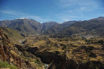 Canyon de Colca - Pérou