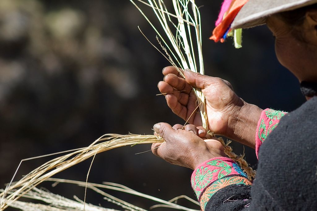 Image Trekking du chemin de l'Inca - Waqrapukara - Palcoyo - qhapaq nan