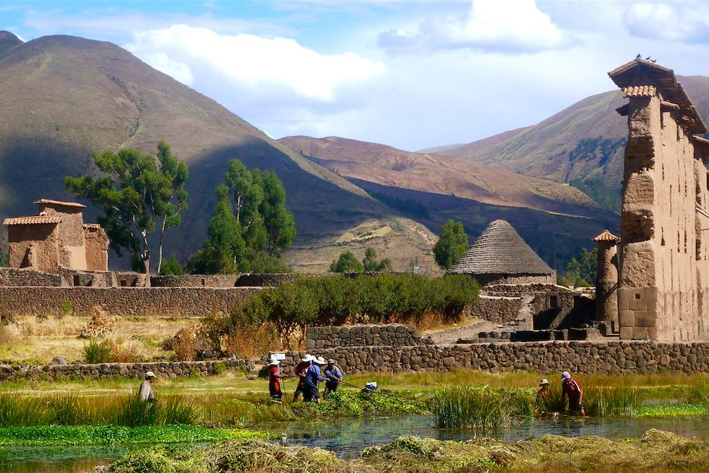 Image Trekking du chemin de l'Inca - Waqrapukara - Palcoyo - qhapaq nan