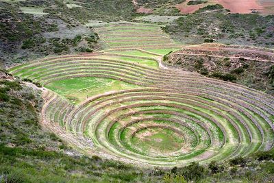 © Thomas Callens - Site de Moray - Vallée Sacrée - Cusco - Pérou Site de Moray - Vallée Sacrée - Cusco - Pérou