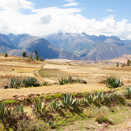 Trek Pérou Arequipa et Canyon de Colca