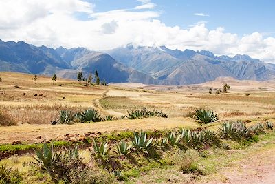 Découverte Pérou