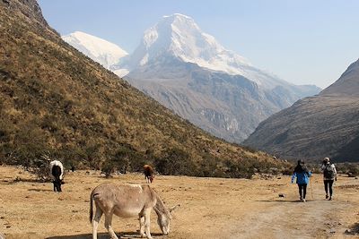 Randonnée dans le parc national de Huascaran - Pérou