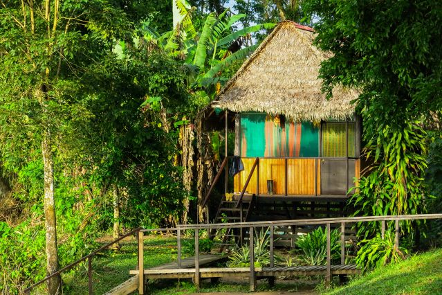 Cayman Lodge dans la forêt tropicale de Puerto Maldonado - Pérou