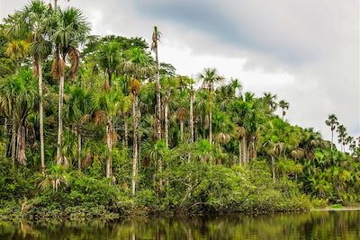 Rivière Tambopata dans la forêt tropicale de Puerto Maldonado - Pérou