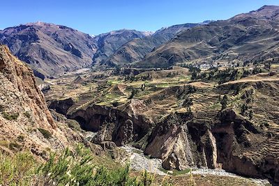 Canyon de Colca - Pérou