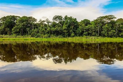 Rivière dans la forêt tropicale de Puerto Maldonado - Pérou