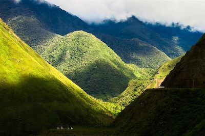 Région de Cusco, route vers Santa Teresa - Pérou