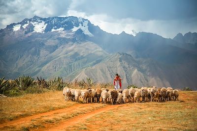 Trek de Lares, sur les chemins secrets des Incas