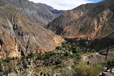 L'Oasis de Sangalle dans le Canyon de Colca - Pérou