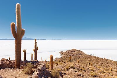 Incahuasi - Salar d'Uyuni - Bolivie