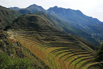 Cultures en terrasses dans la région de Pisaq - Pérou