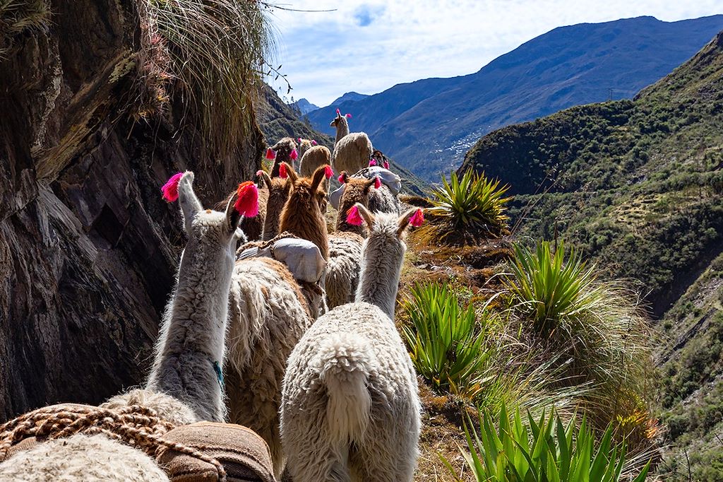 Image Immersion en Amazonie - Découverte Lac Titicaca - Randonnée Cusco