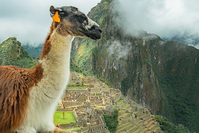 Le Machu Picchu 