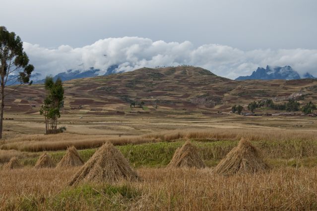 Voyage à pied : De Cusco au Cerro Colorado