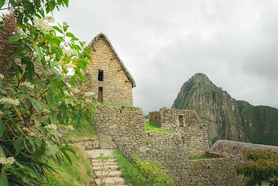 Le Machu Picchu 